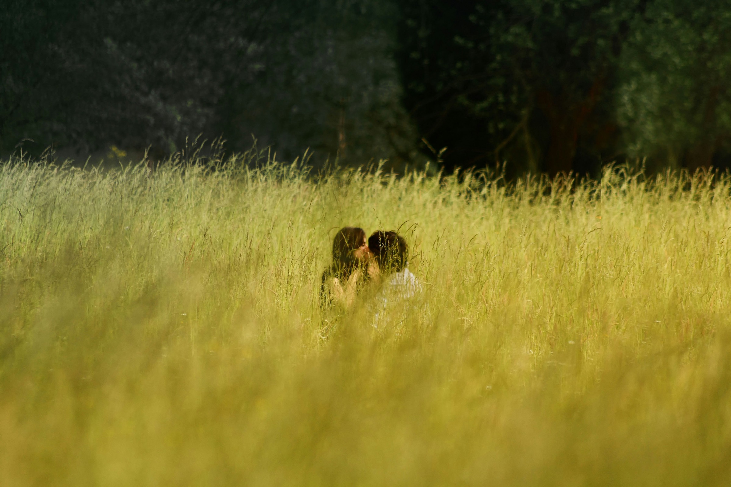 A couple embracing in tall golden grass